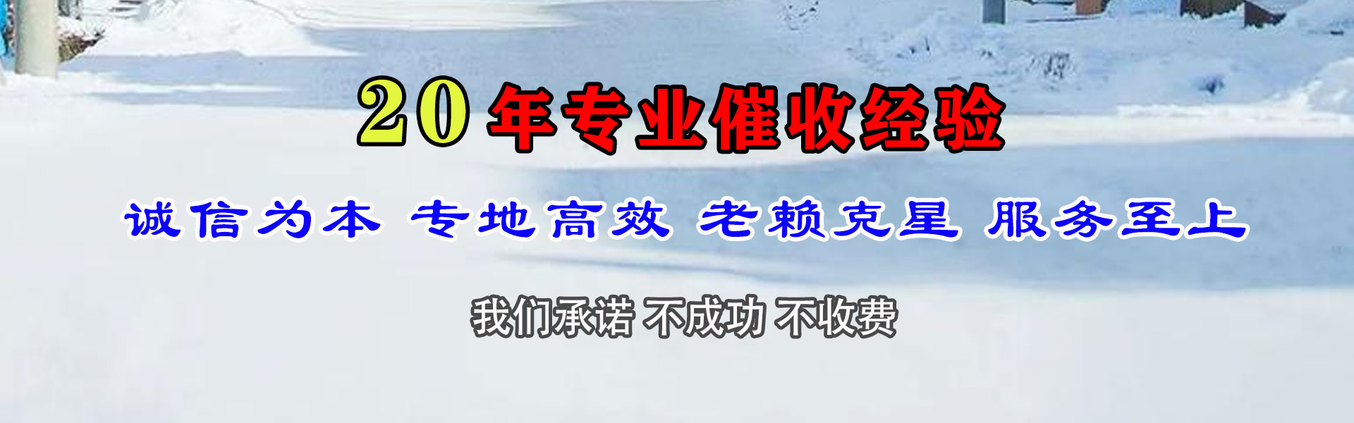 谢家集清债公司